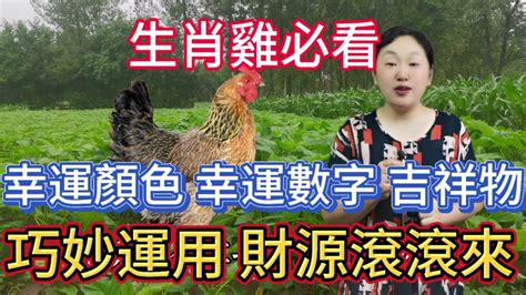 屬雞的幸運數字|屬雞人「幸運數字」，說中你了嗎？快來看看你的是多。